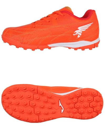Сороконожки EVJW2508TF